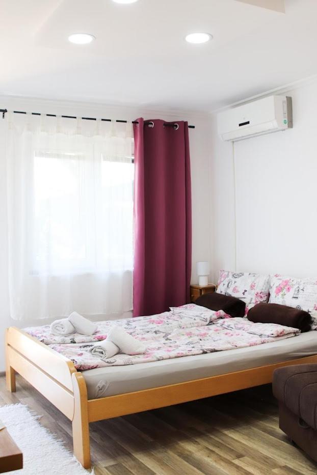 Charming Studio Masa Палич Экстерьер фото