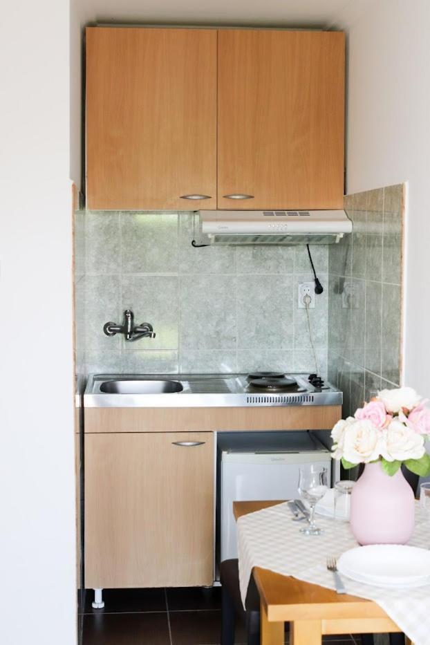 Charming Studio Masa Палич Экстерьер фото